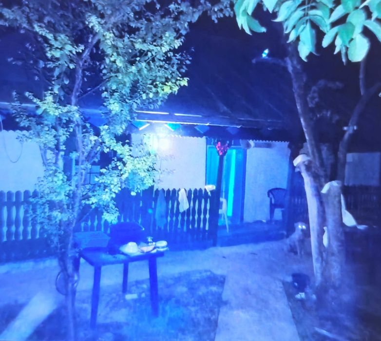 Vind casa taraneasca  Gurbanesti