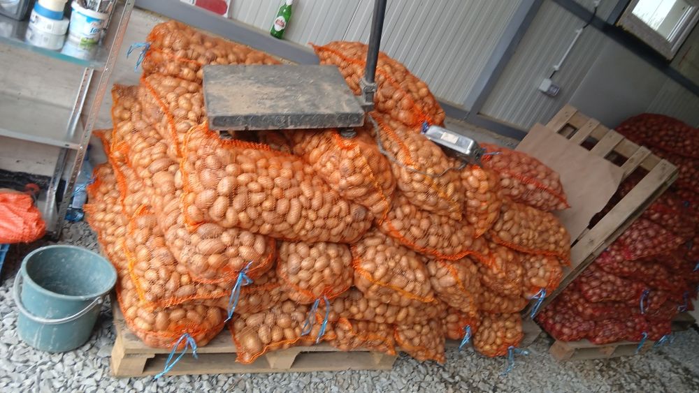 Cartofi animale  074[060]45]98