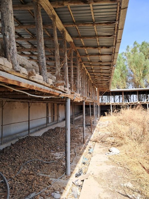 Мол ферма сотилади