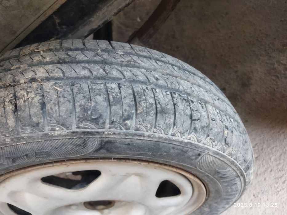 Pashti yangi yurmagan bir joyda turgan