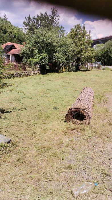 Косене. Рязане на храсти и опасни дървета. Разчистване на терени.