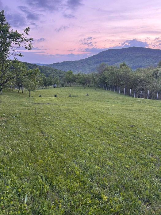 Teren 11.454 mp lângă pădure – Șoimari, Prahova – 4.709 mp intravilan + 6.745 mp extravilan