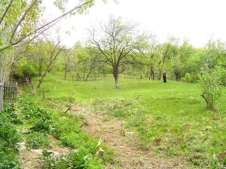 Teren intravilan Cornu, Prahova, la 23 km de Sinaia, 30 Euro mp.