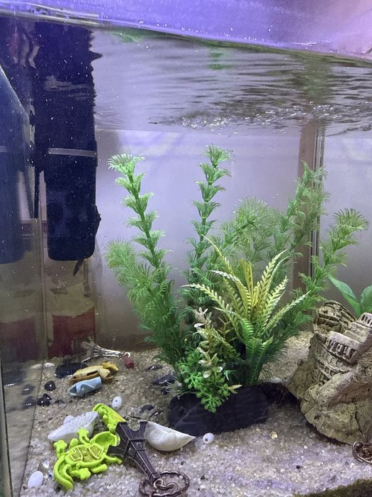 Продается аквариум с рыбками. 30 л