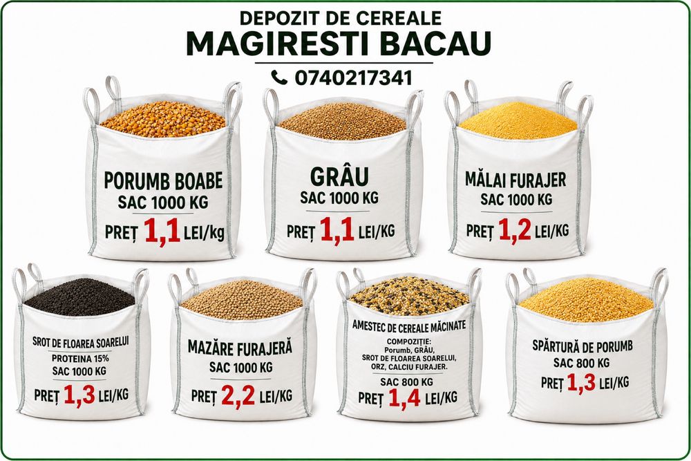 Porumb grau mazare floare
