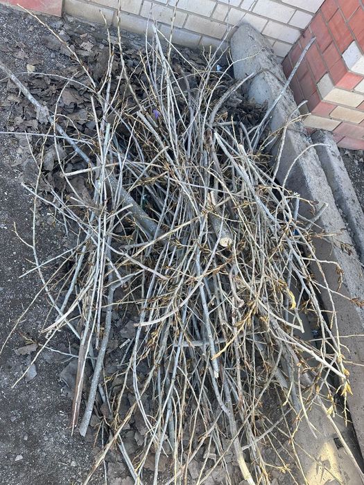 Дерево для шашлыка