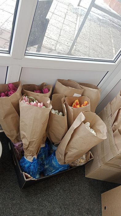 Крупные тюльпаны от 500тг