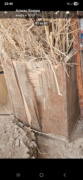 Тактайлар отындар сатылады