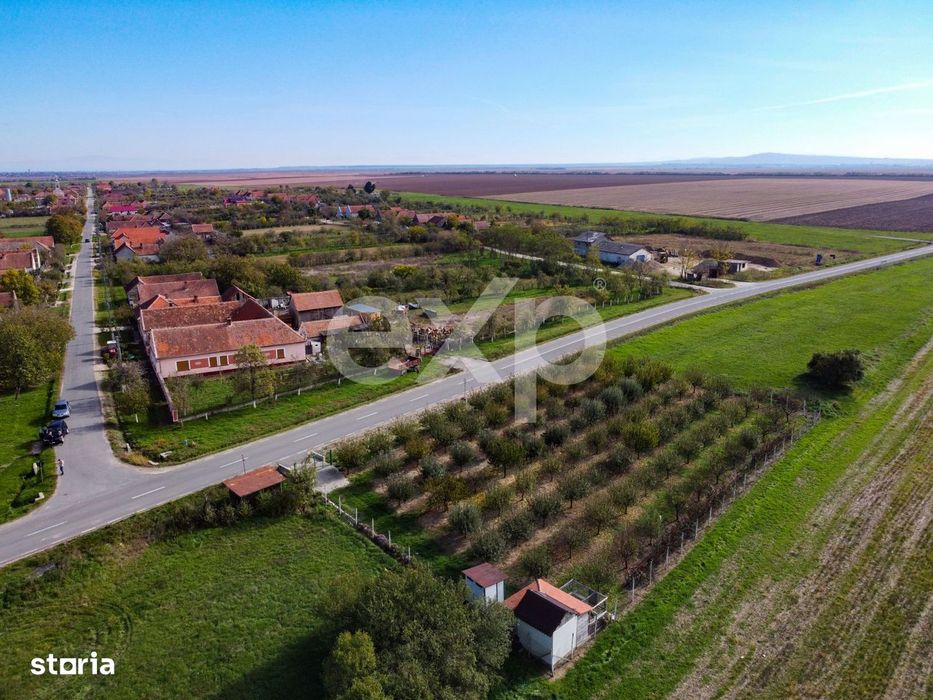 Teren cu livada de vanzare – Sarbova, pozitie excelenta!