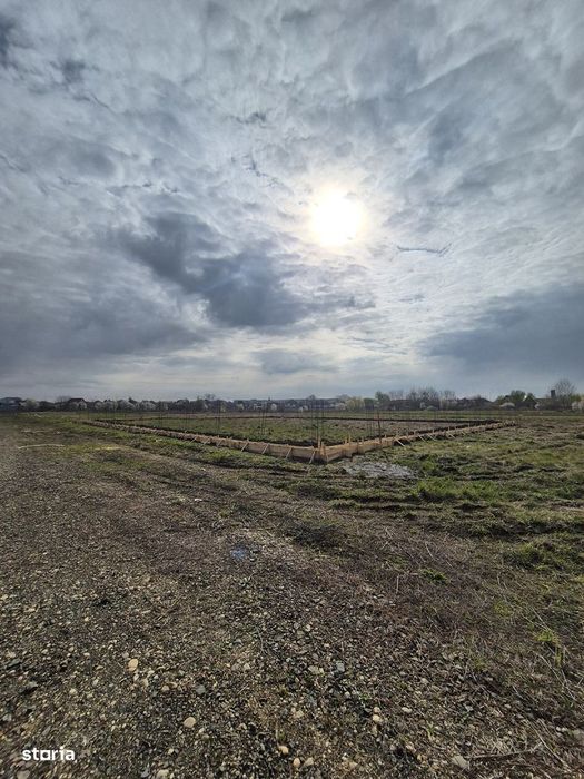 Teren 416mp/832mp-Bujac