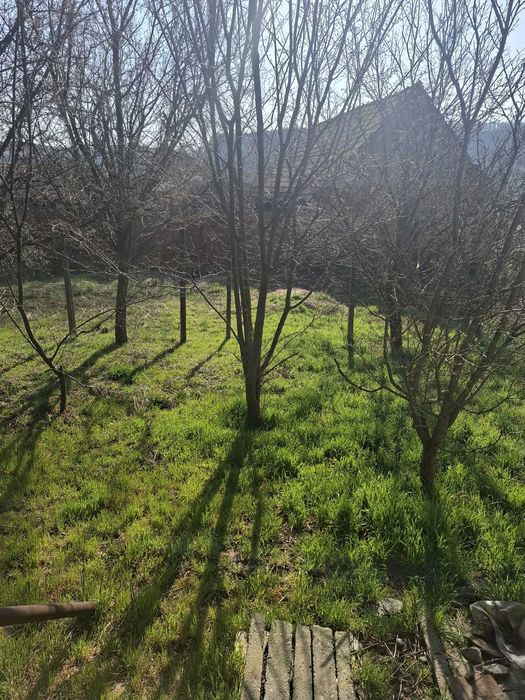 Casă în Ludoș jud. Sibiu