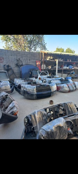 Мини морда гольф пассат дилфин