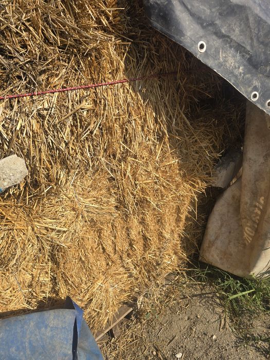 Baloti de paie de vanzare