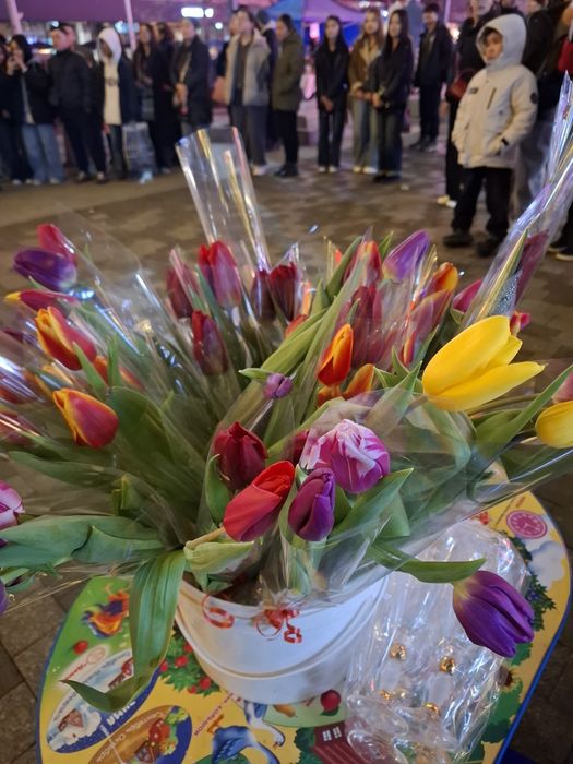 Тюльпан розницу 600 тенге