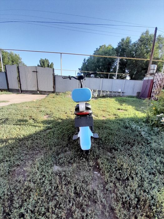 Електро велик сатылат