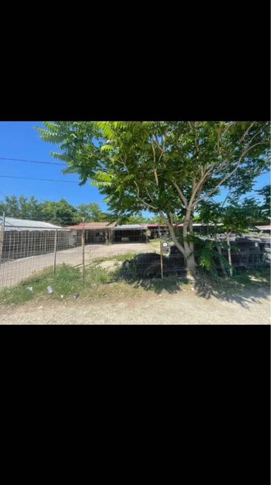 Inchiriez Vulcanizare, Utilata complet 1700mp Mihail kogalniceanu Dn