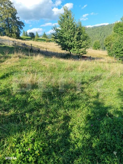 Teren intr-o zona superba din Campulung Moldovenesc