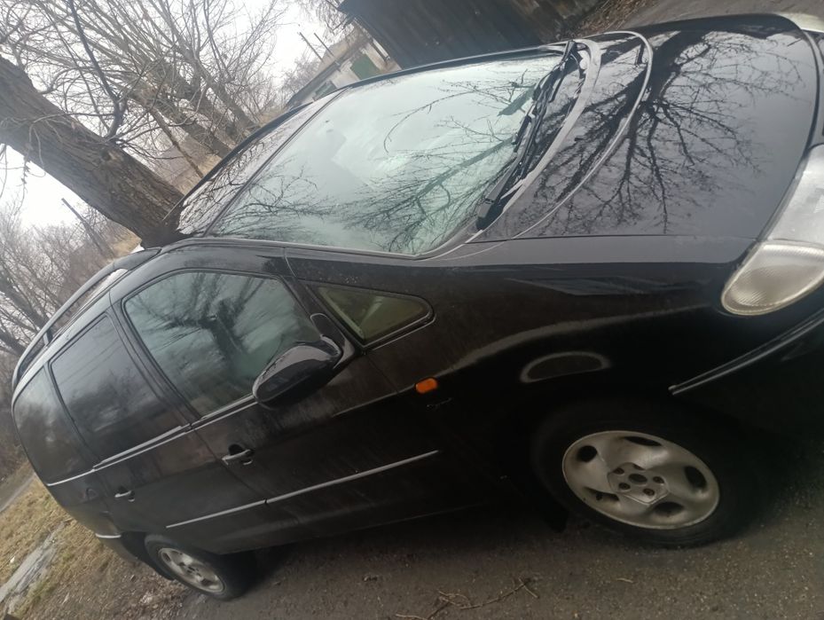 Продам Шаран срочно