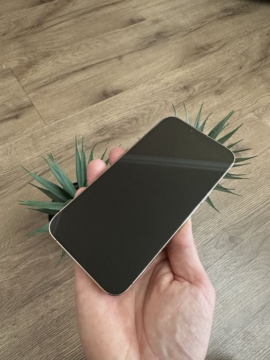 Iphone 13 pro max 512 79%