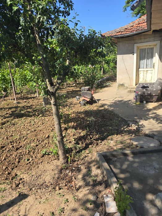 Продава се Къща в с. Калипетрово, Област Силистра - 45 кв.м за 680 €/кв.м - Снимка #17