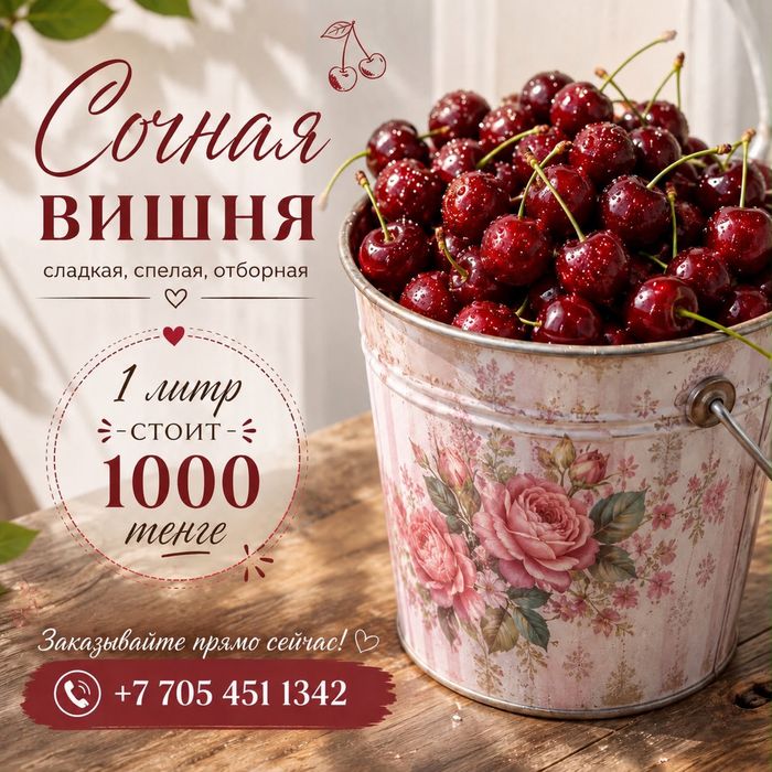 Вишня с дачи 1000 тг кг