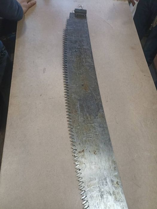 Пила дружба  СССР Год выпуска  1954