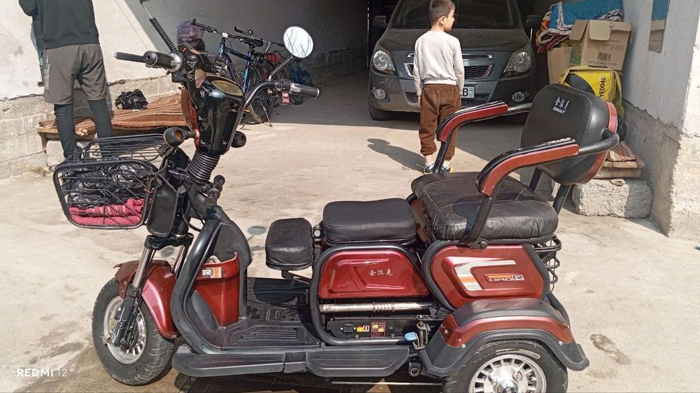 Elktra skutr sotladi