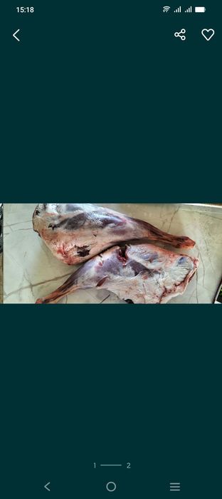 Срочно продается