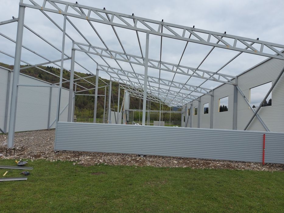 Vand hala metalica completa sau doar structura,