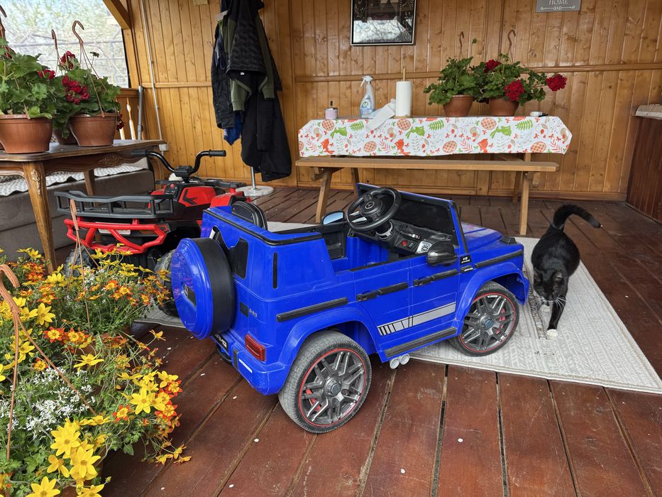 Masina electrica pentru copii