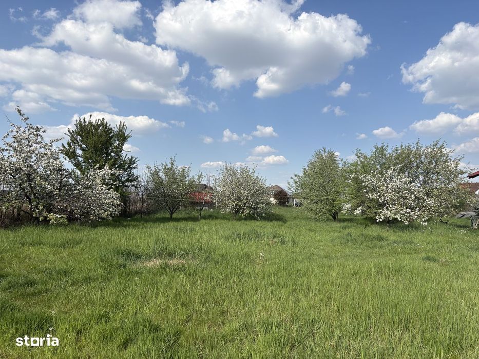 Teren intravilan , zona Apateului ,4600 mp