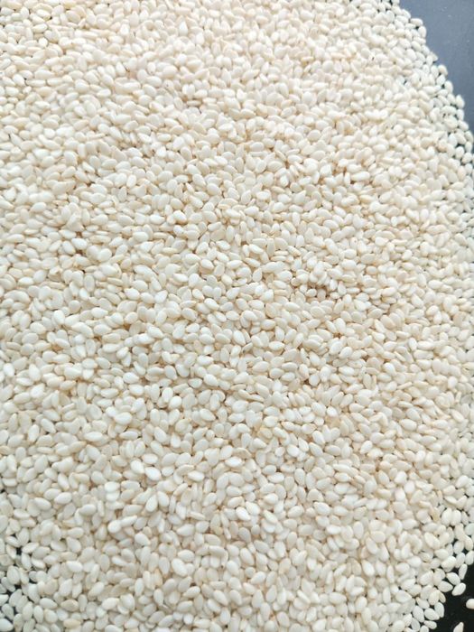 Oq kunjut, оқ кунжут Оптом