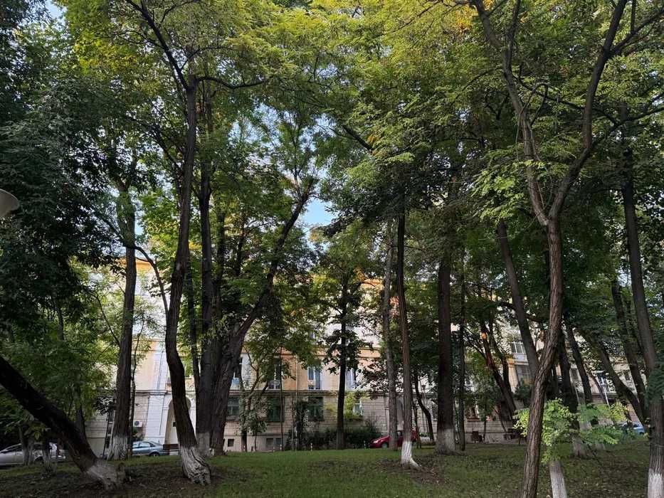 Apartament pentru inchiriat
