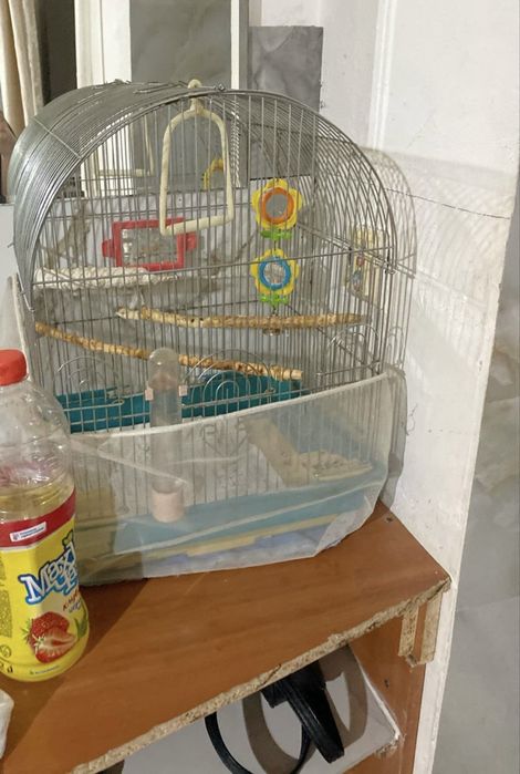 продам клетку для попугаев