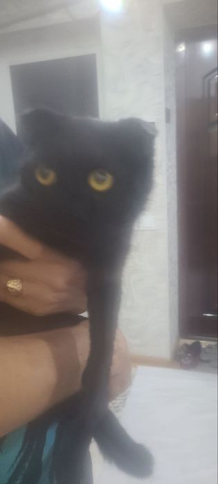 Konchilik salonidagi qizlarning yashirin kamera tasvirlari