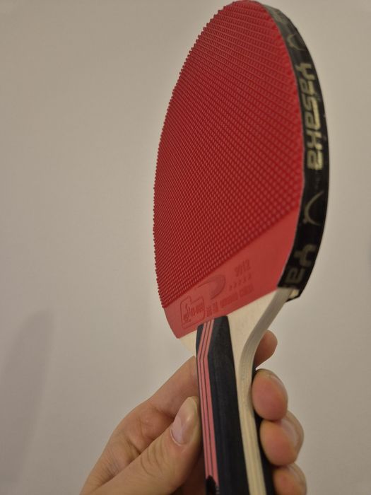 Paletă ping pong de apărare | perturbare joc