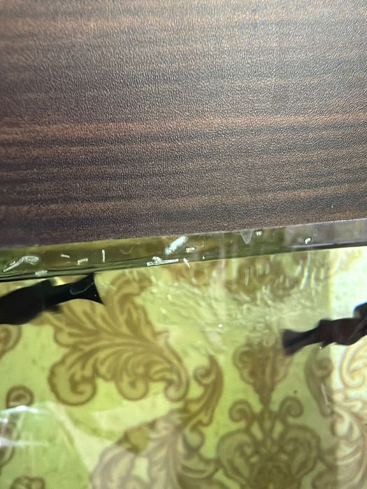 Продам рыбок - молодь Молинезии