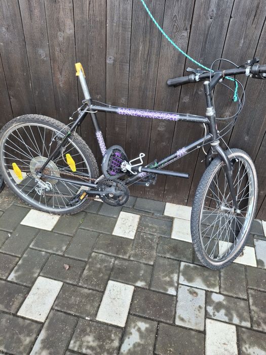 Biciclete import germania