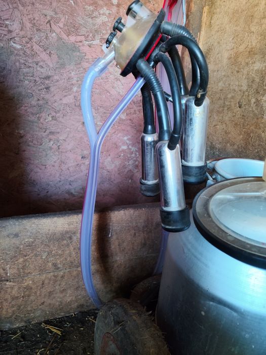 Vînd aparat de muls goardelini