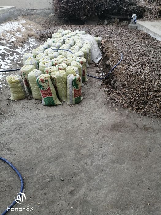 Sifatli Biogomuslar va chuvalchanglar optom sotuvda