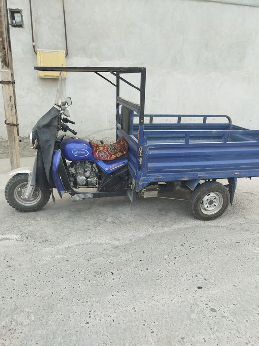 Муравей холати зор янгидек радиаторсиз