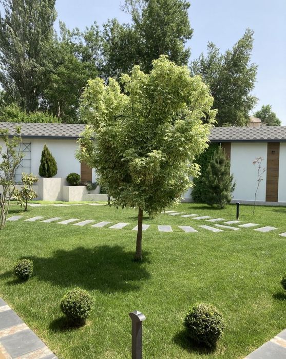 Газон посевной с Горантией