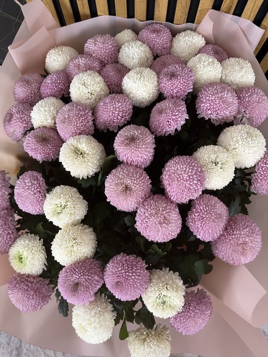 Букеты , цветы момоки