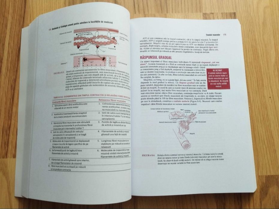 Manual Barron's 2022