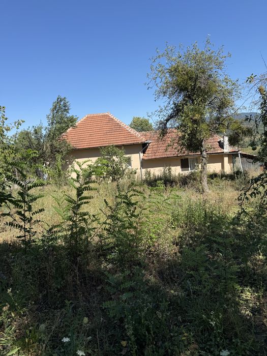 Vând Livadă cu pomi/Teren intravilan în satul Neagra, județul Arad