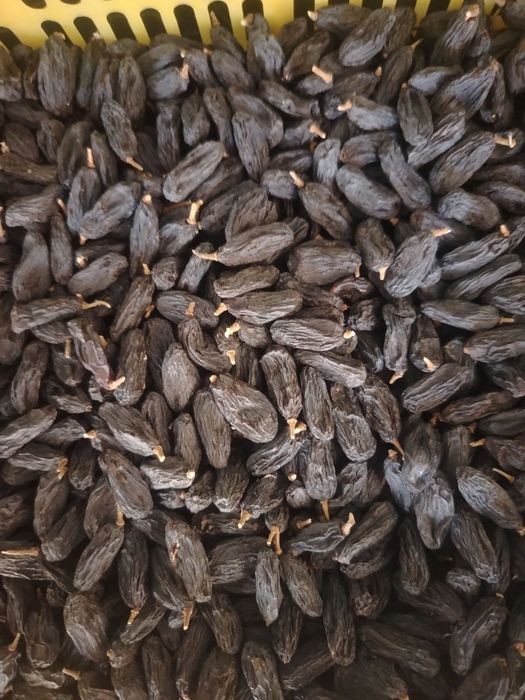 Mayiz olib beramiz cheklanmagan miqdorda