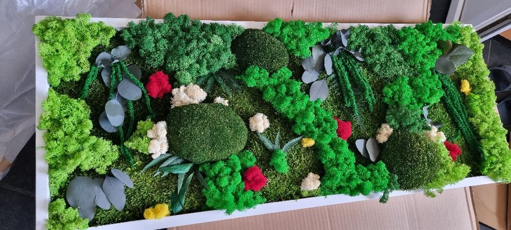 Tablou/panou cu licheni naturali stabilizati