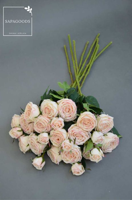 Роза Экрю 3 бутона 70см 1шт