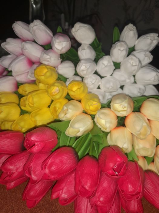 Тюльпаны тюльпаны