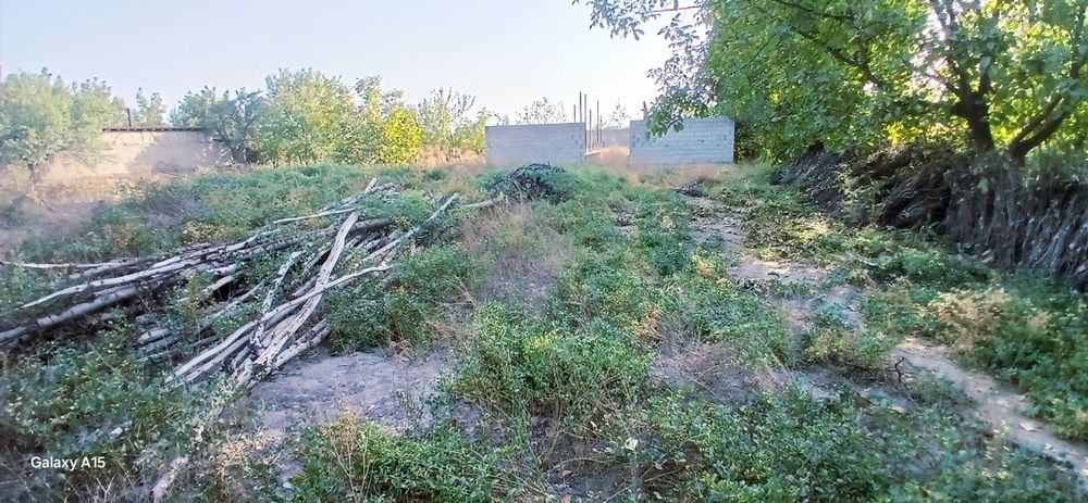 Chek sotiladi  16 sotix